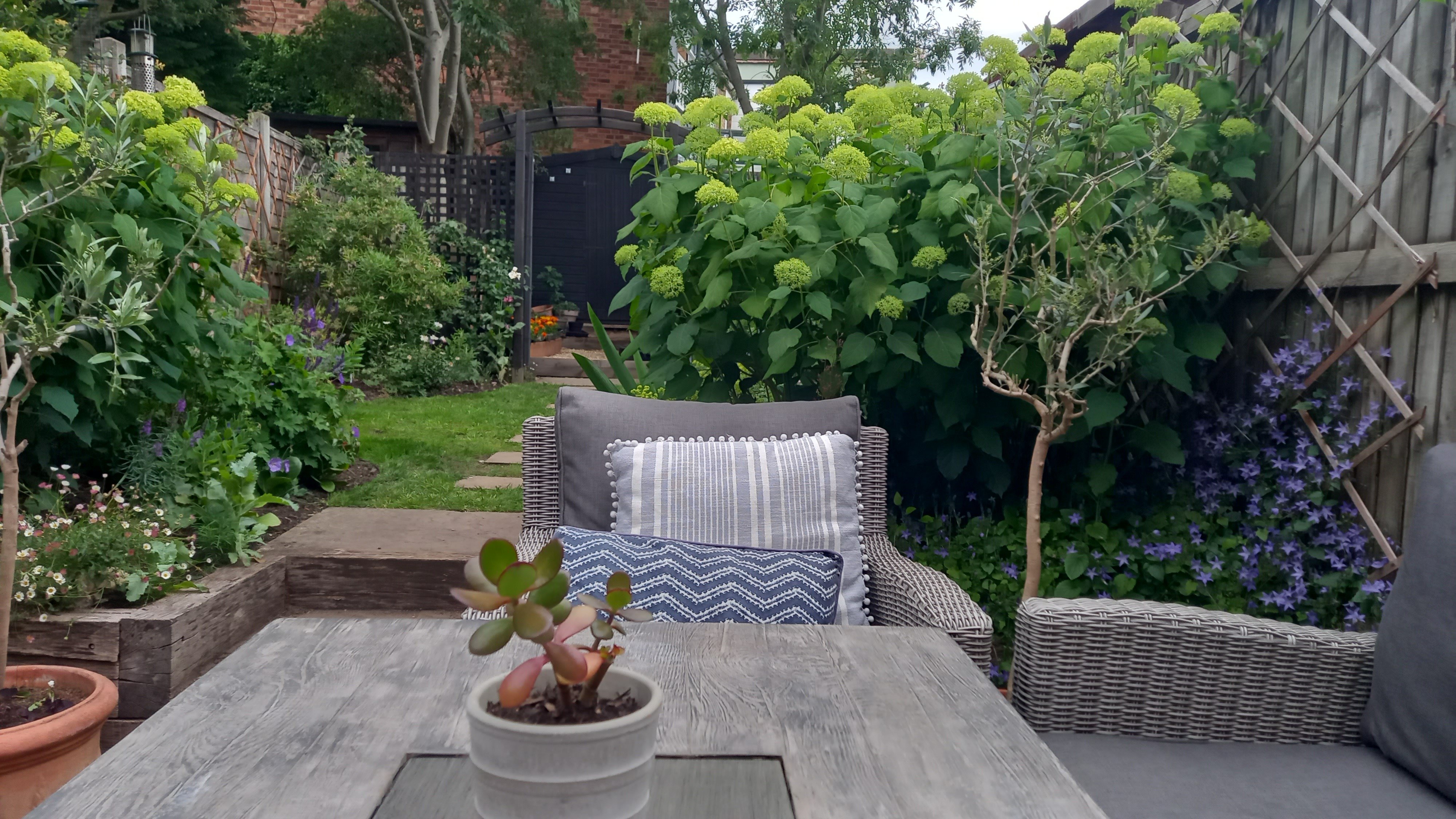 Garden with hydrangeas