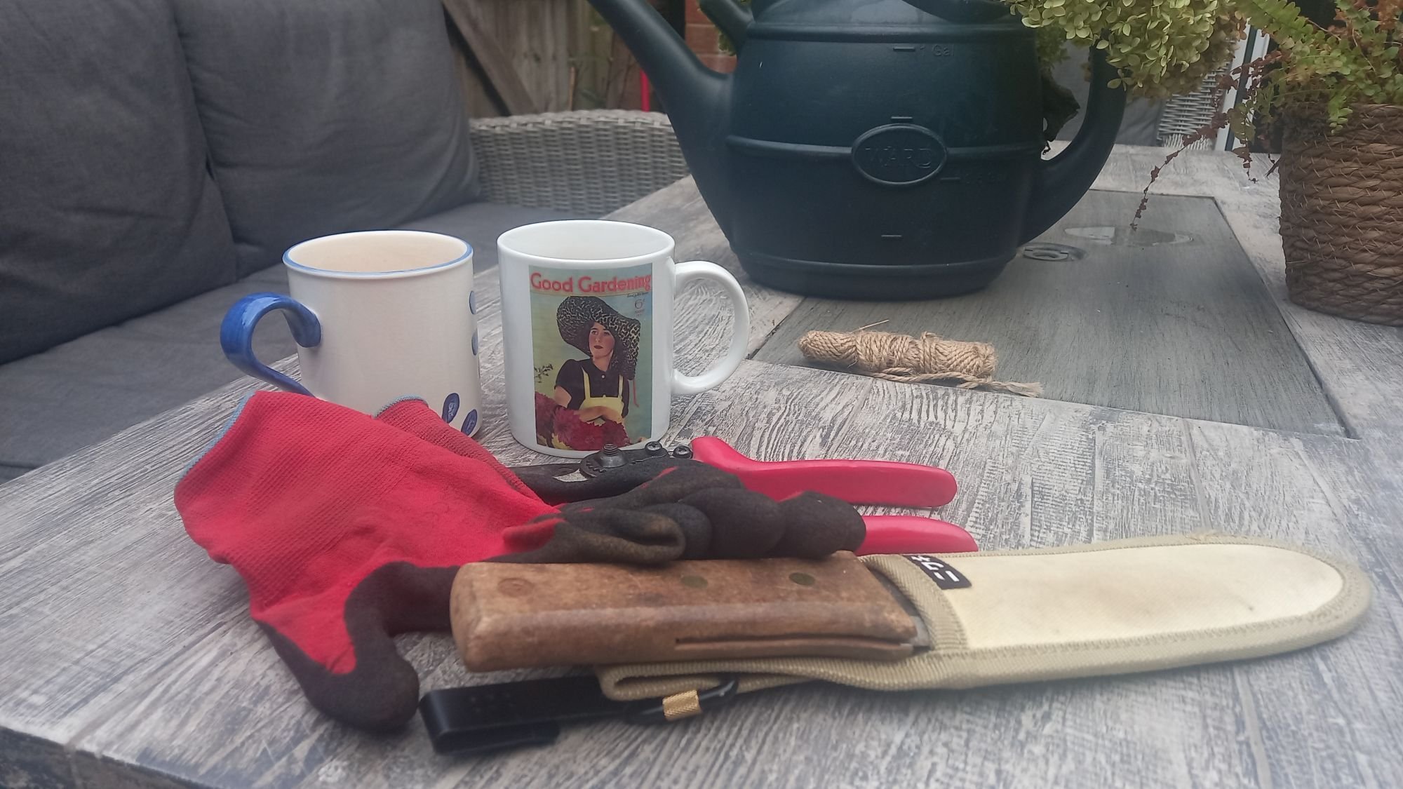 Gardening gloves and tea